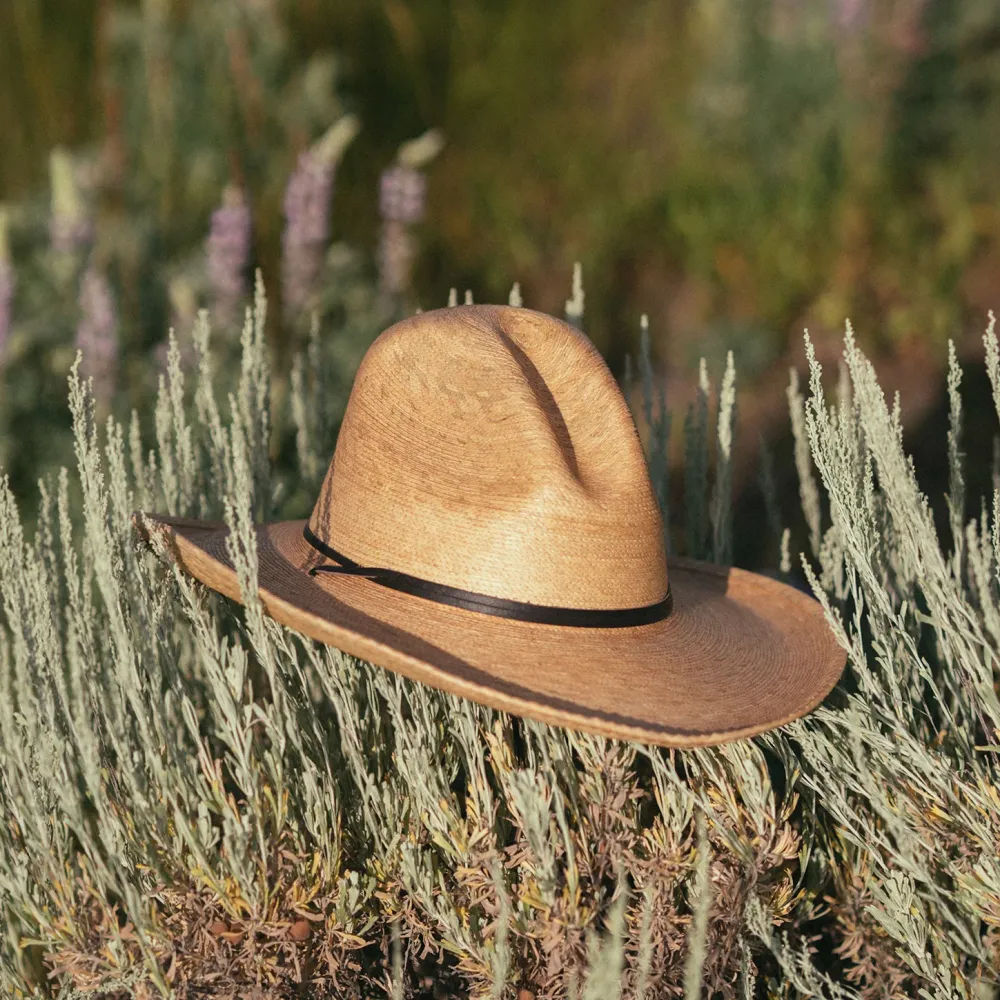 Stetson Bryce Straw Hat Natural