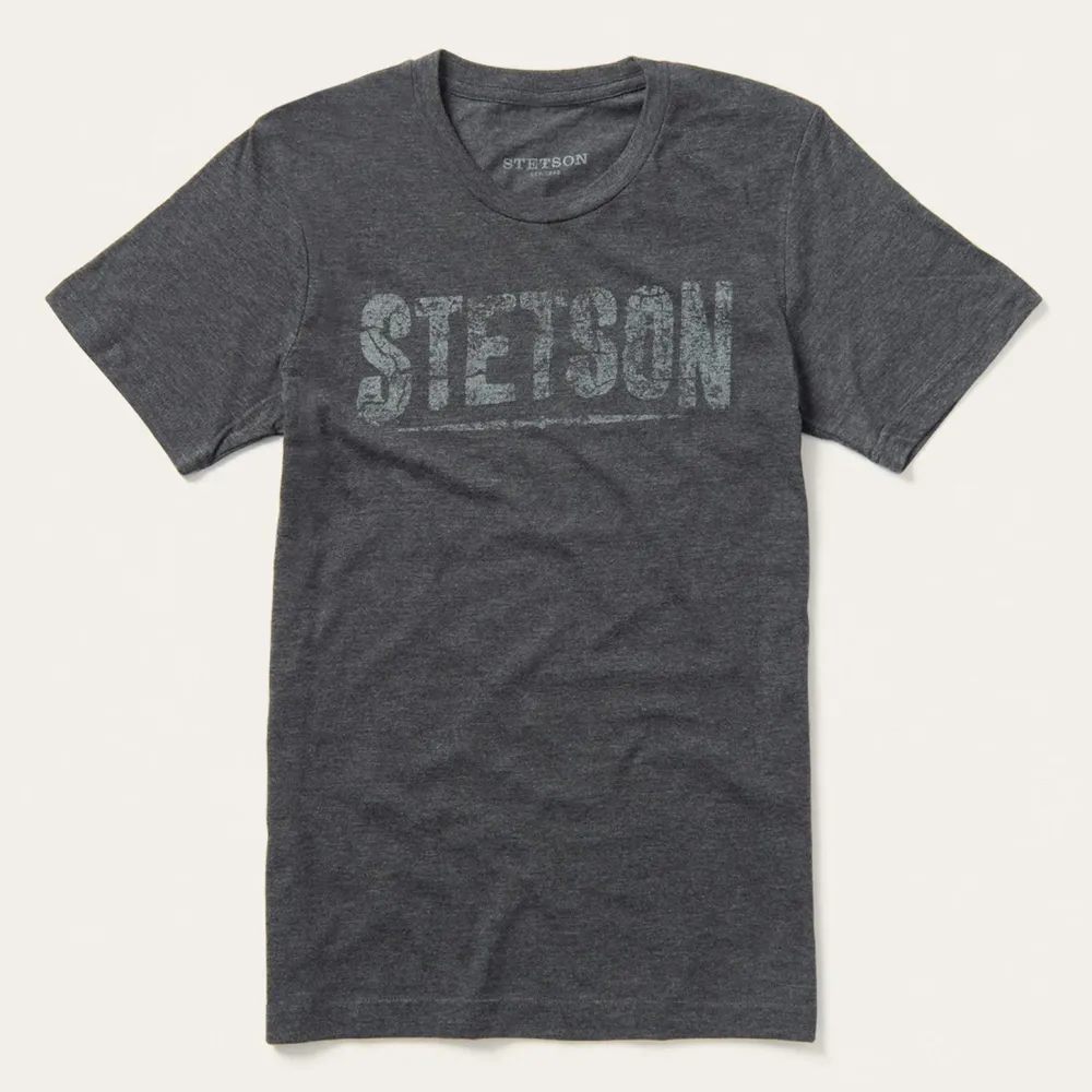 Stetson Distressed Graphic Tee Grey New