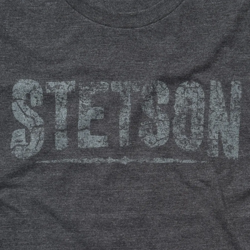 Stetson Distressed Graphic Tee Grey New