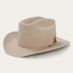 Stetson Range 6X Cowboy Hat Silverbelly New