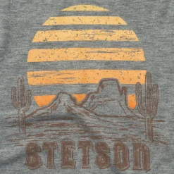 Stetson Sunset Graphic Tee Grey Best